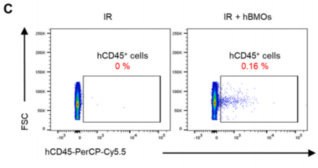 external_image external_image