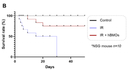 external_image external_image