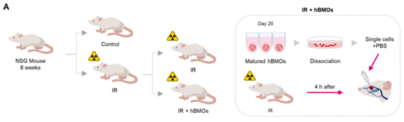 external_image external_image