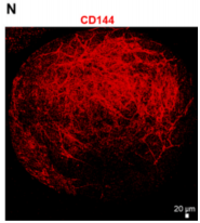 external_image external_image