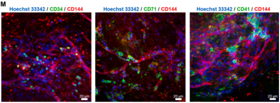 external_image external_image